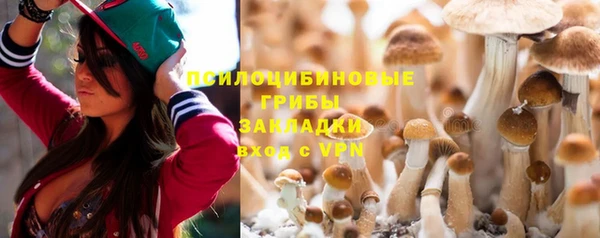 круглые Вязьма