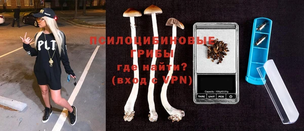 крисы Вяземский